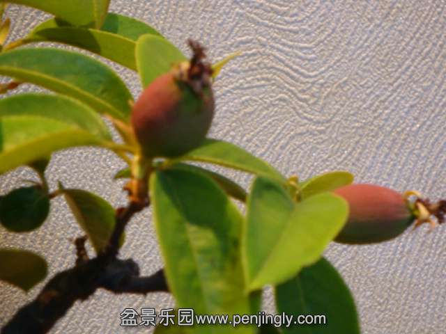 DSC00627.JPG