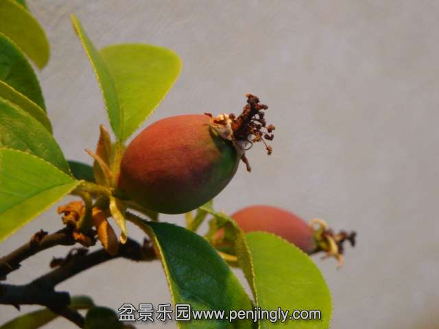 DSC00628.JPG