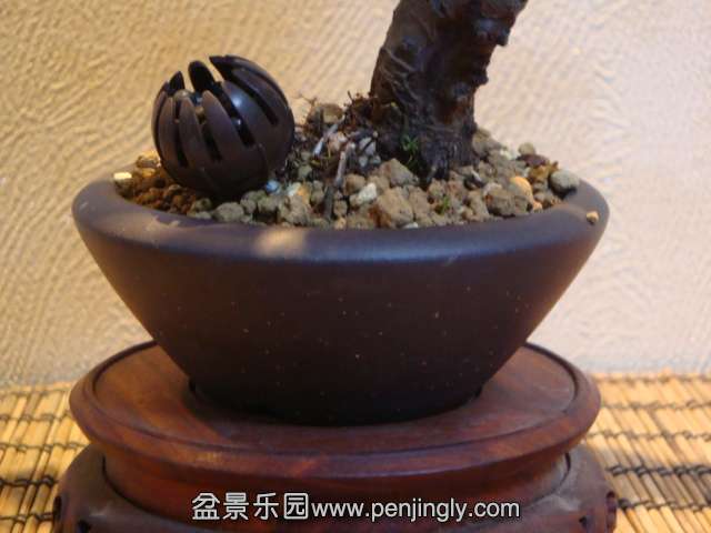 DSC00629.JPG