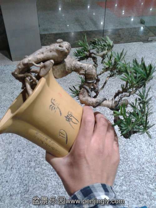 2015.51.31.jpg