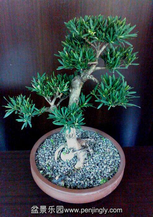 IMG0421143700.jpg