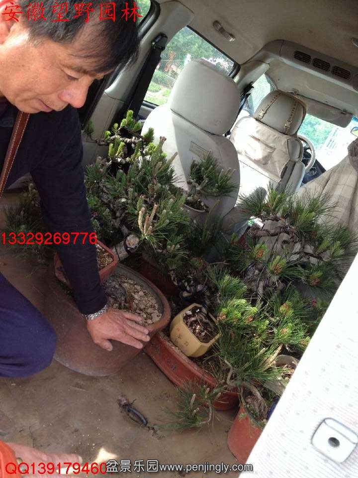CACE28C2D6463892AC976BD5113AC77D.jpg
