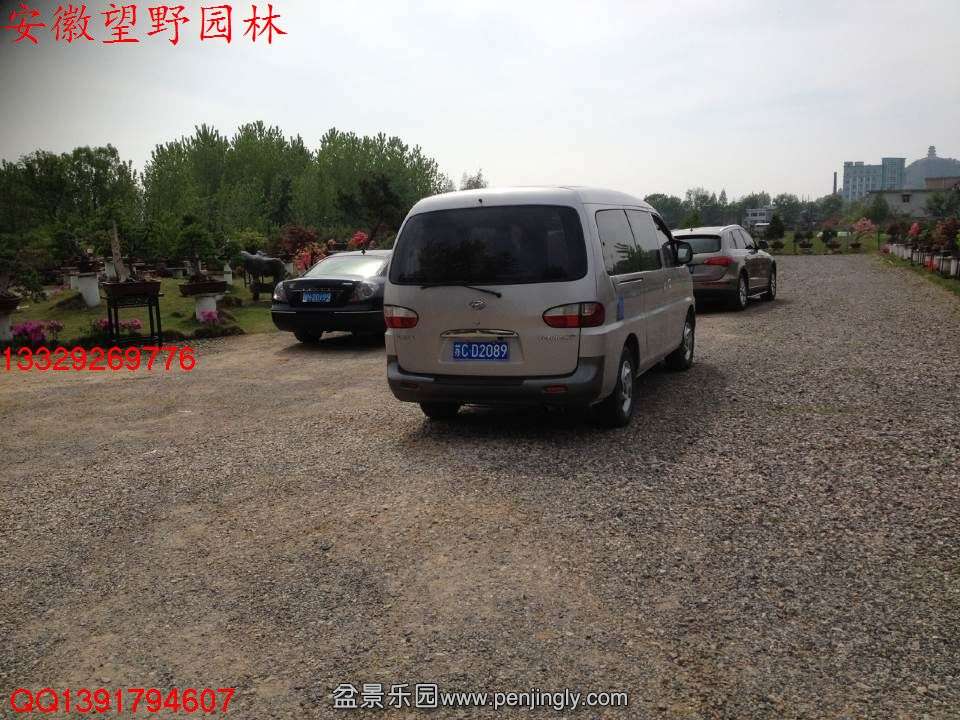 E82C72AD2A7EED6463179EA53F0C69FD.jpg