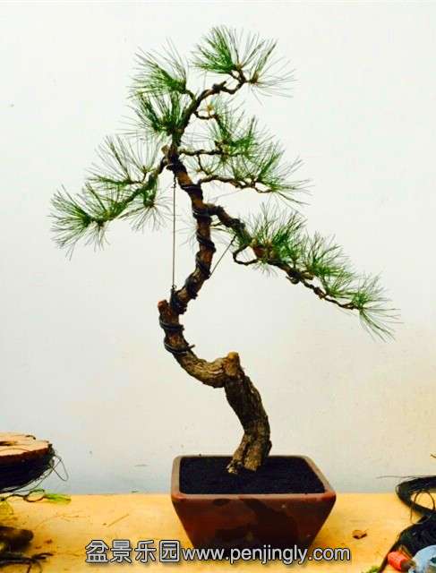 QQͼƬ20150409184932.jpg