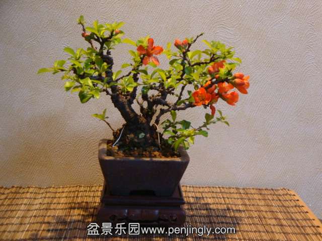 DSC00705.JPG