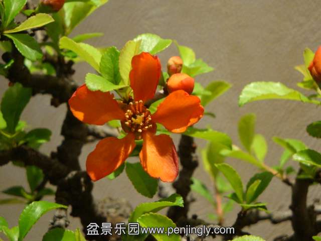 DSC00707.JPG