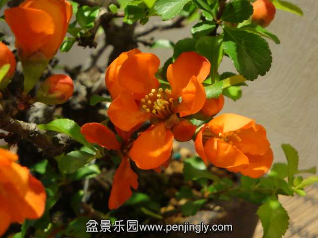 DSC00708.JPG