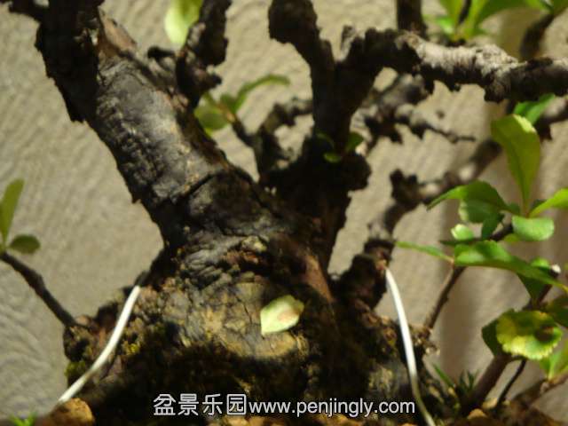 DSC00709.JPG