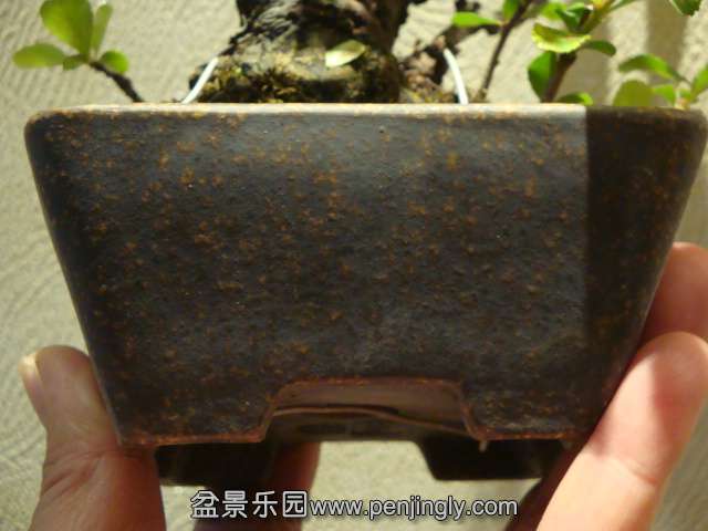 DSC00710.JPG