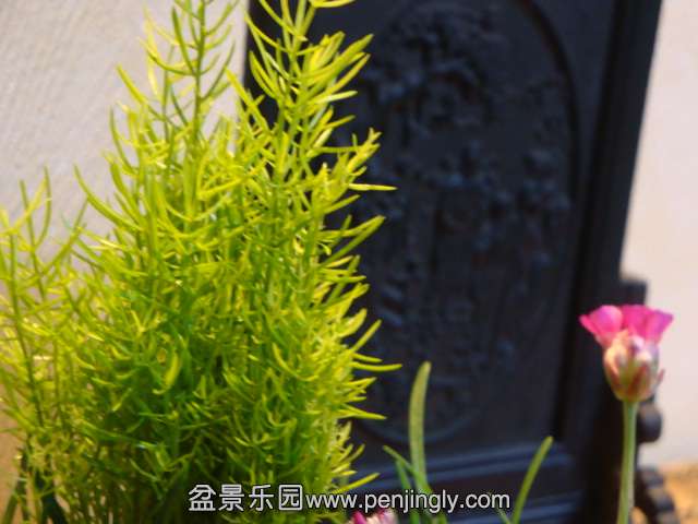 DSC00714.JPG