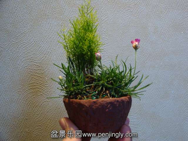 DSC00717.JPG