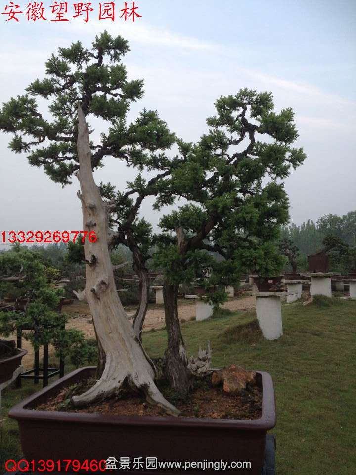 AC4F1D75354E9A20AD54BC43FF418110.jpg