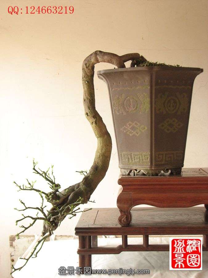 IMG_0575__.jpg