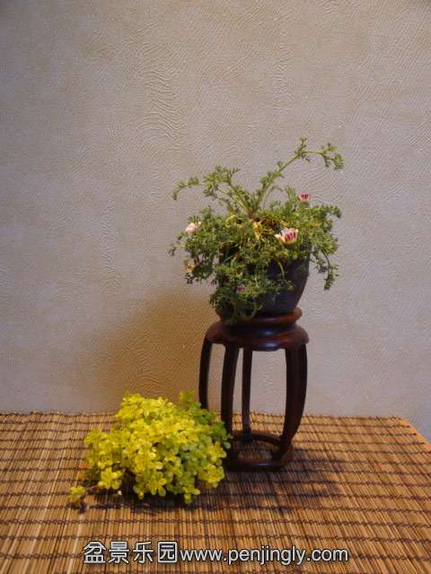 DSC00744.JPG
