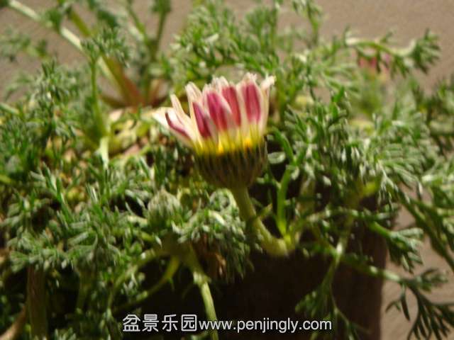 DSC00745.JPG