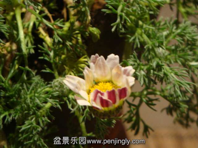 DSC00746.JPG