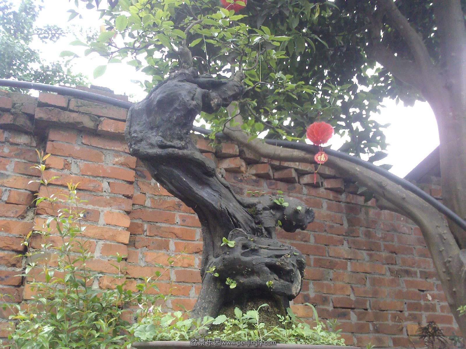 20150501113909.jpg