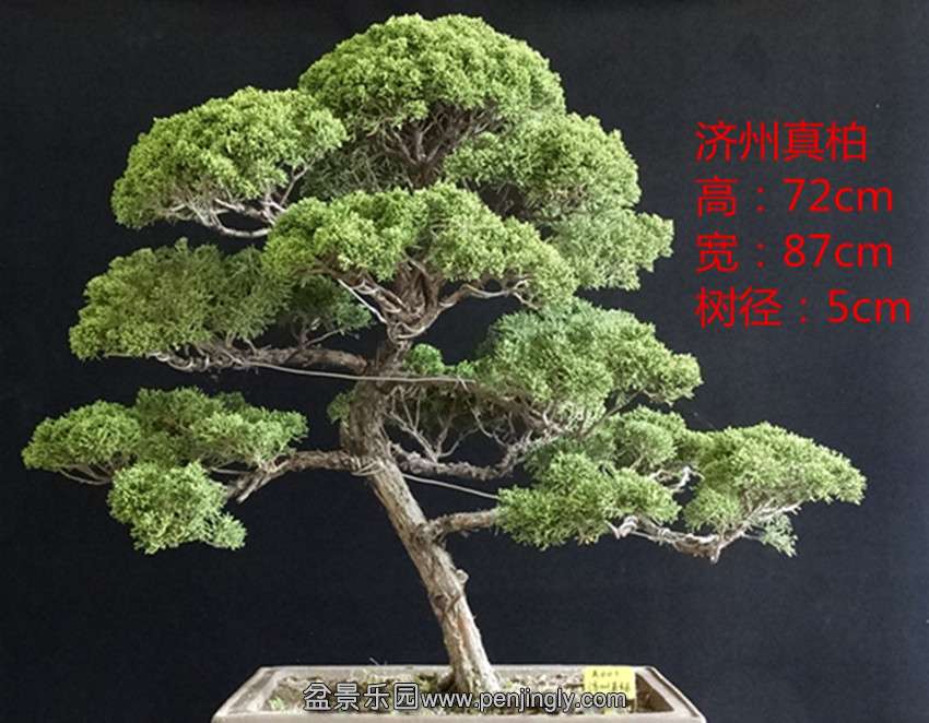A001_.jpg