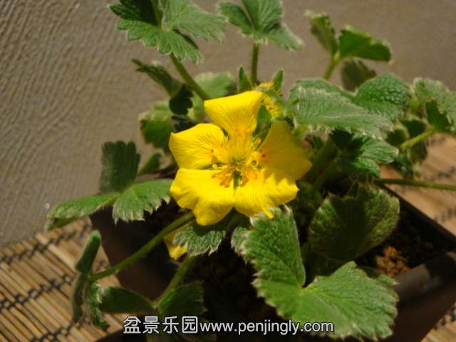 DSC00785.JPG
