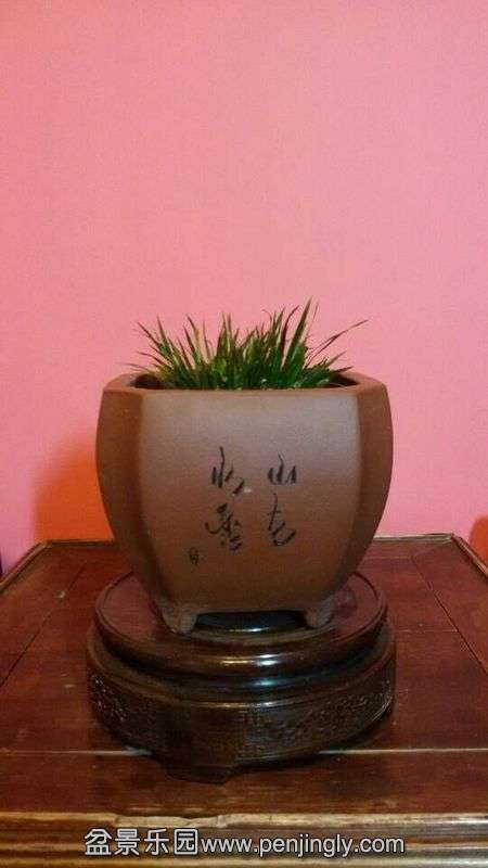 QQͼƬ20150131084933.jpg