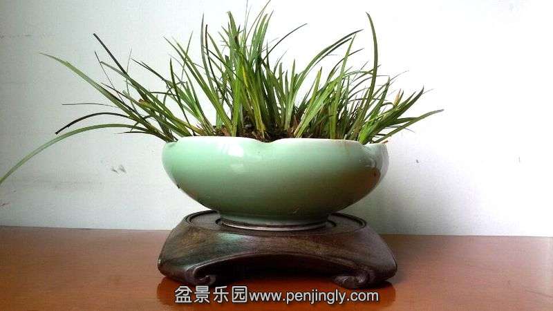 QQ图片20150425092059.jpg