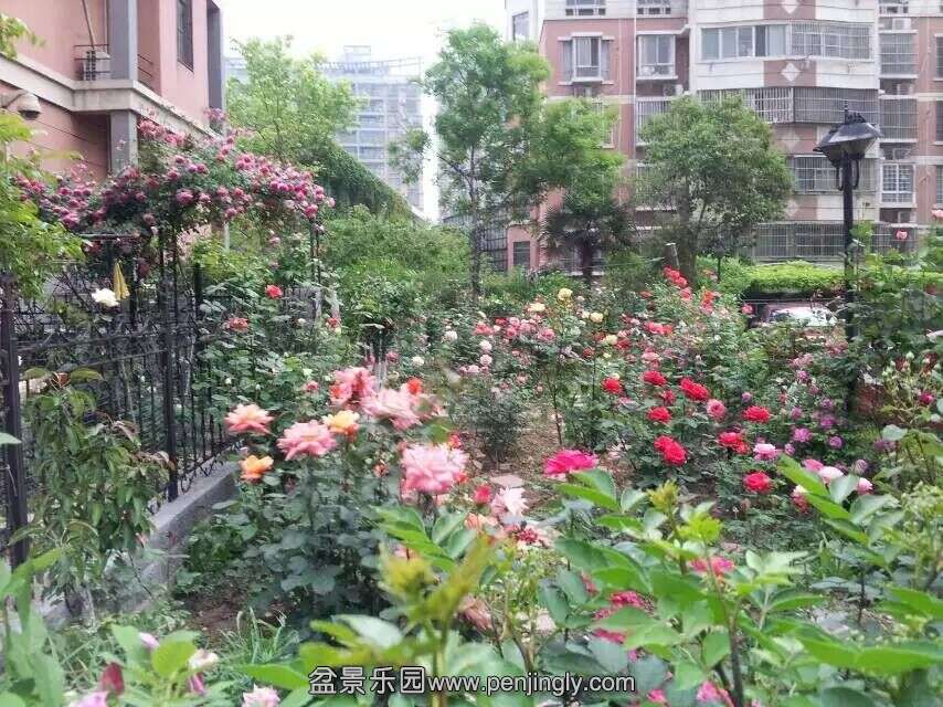 QQͼƬ20150507073322.jpg