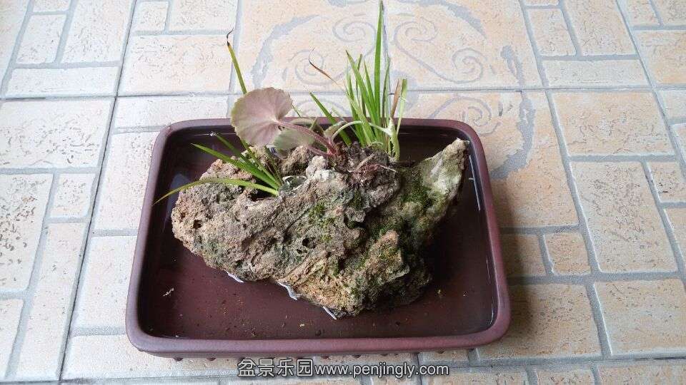 QQ图片20150504080759.jpg