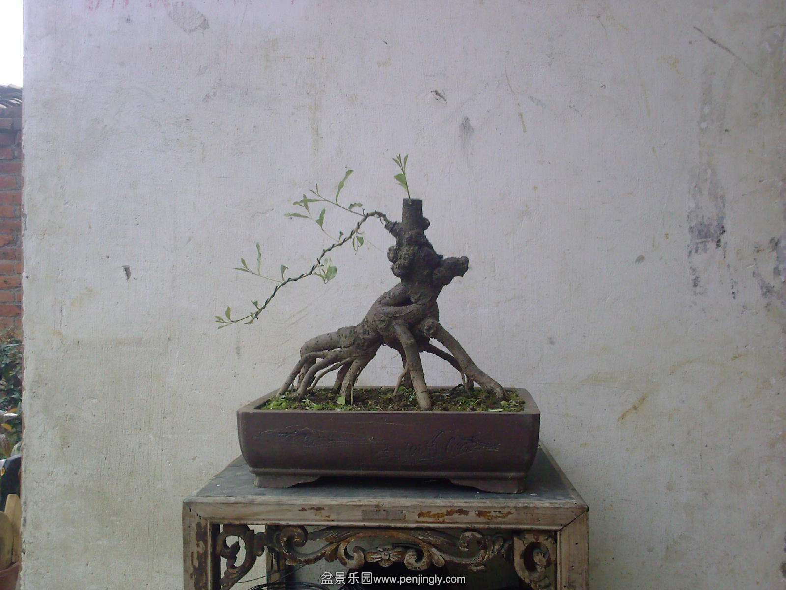 20150507114525.jpg