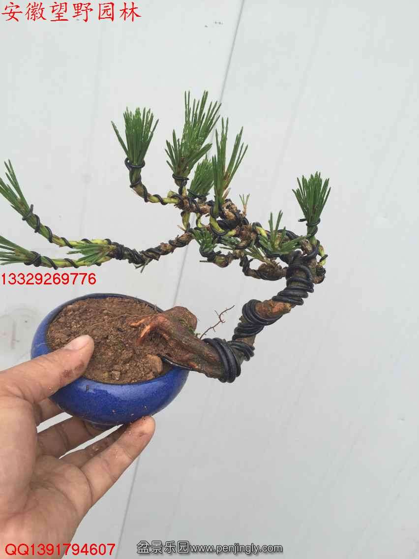 264BF21E0E23DB29A87A3BEEC877AADE.jpg