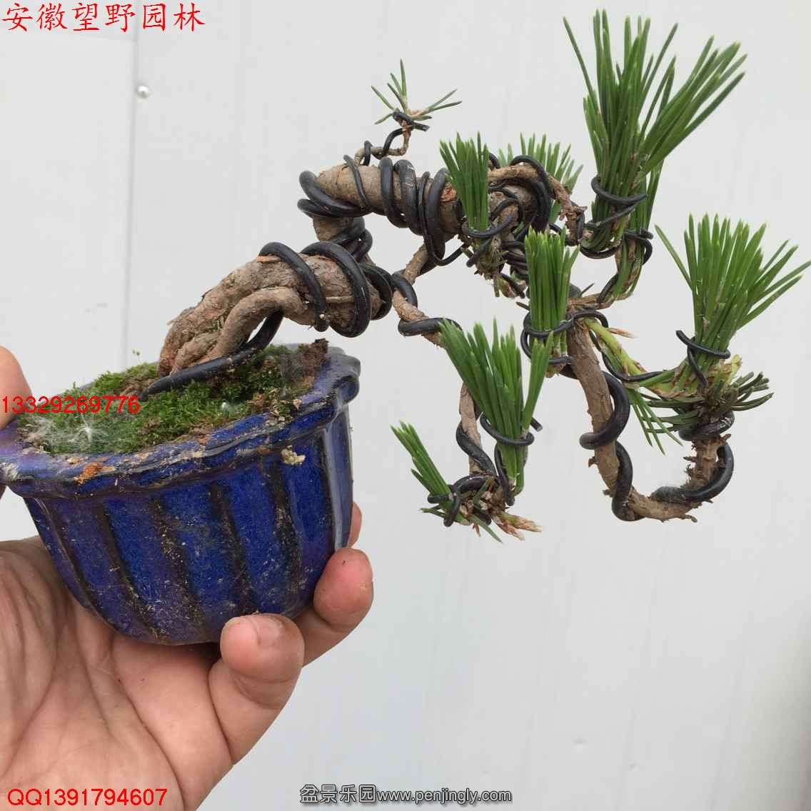 CD92F3F65E4CDAE0AE7E450A93822B90.jpg