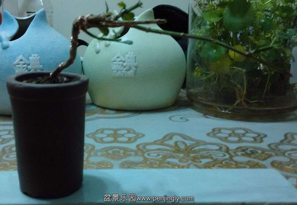 QQͼƬ20150511112210.jpg