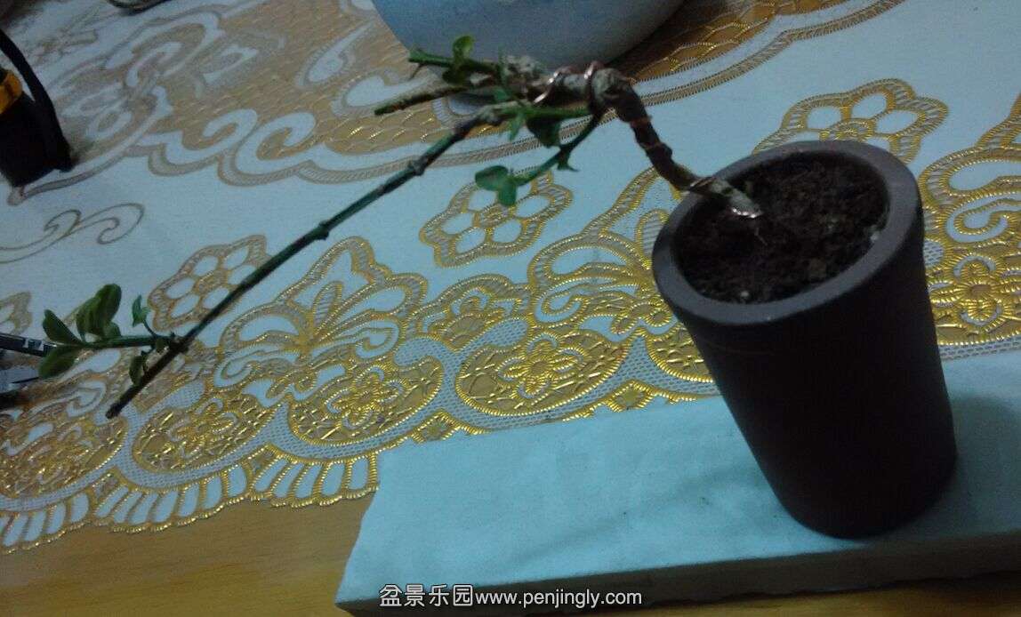 QQͼƬ20150511112248.jpg