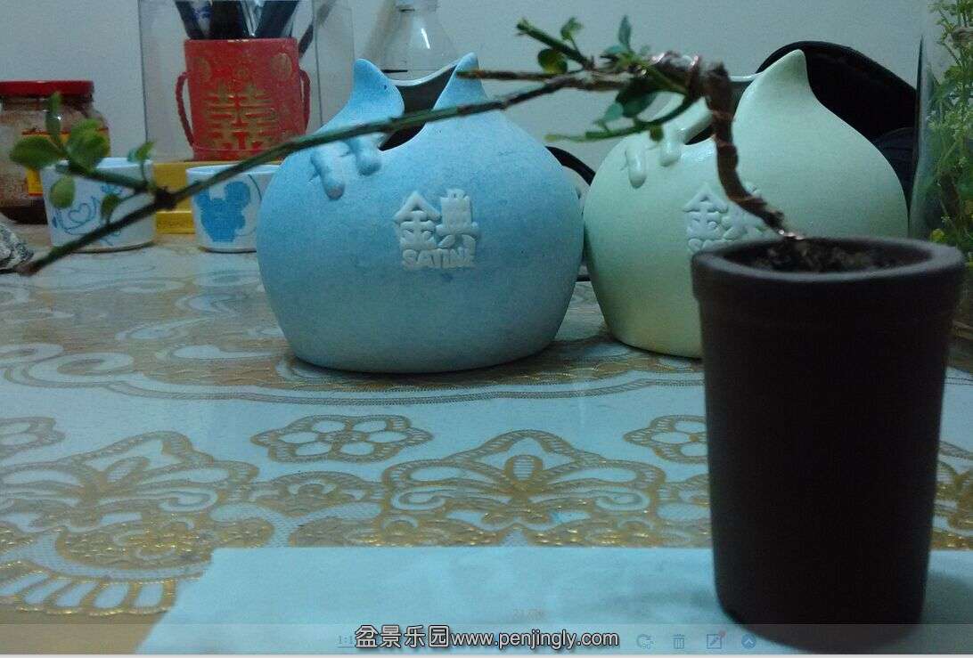QQͼƬ20150511112336.jpg