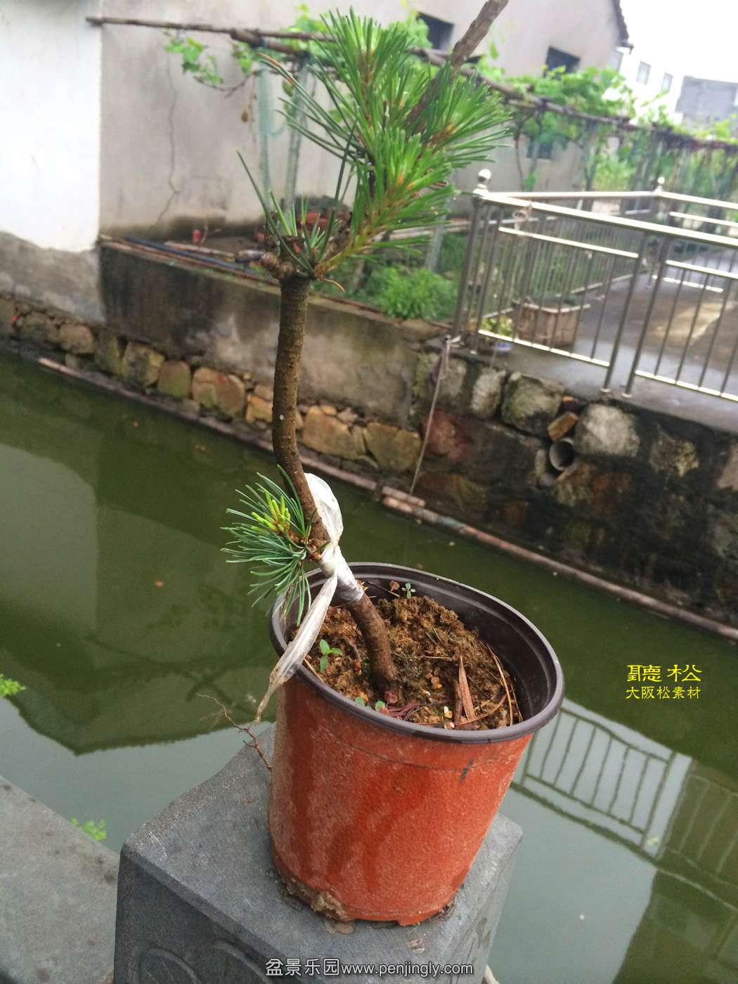 ز4.jpg