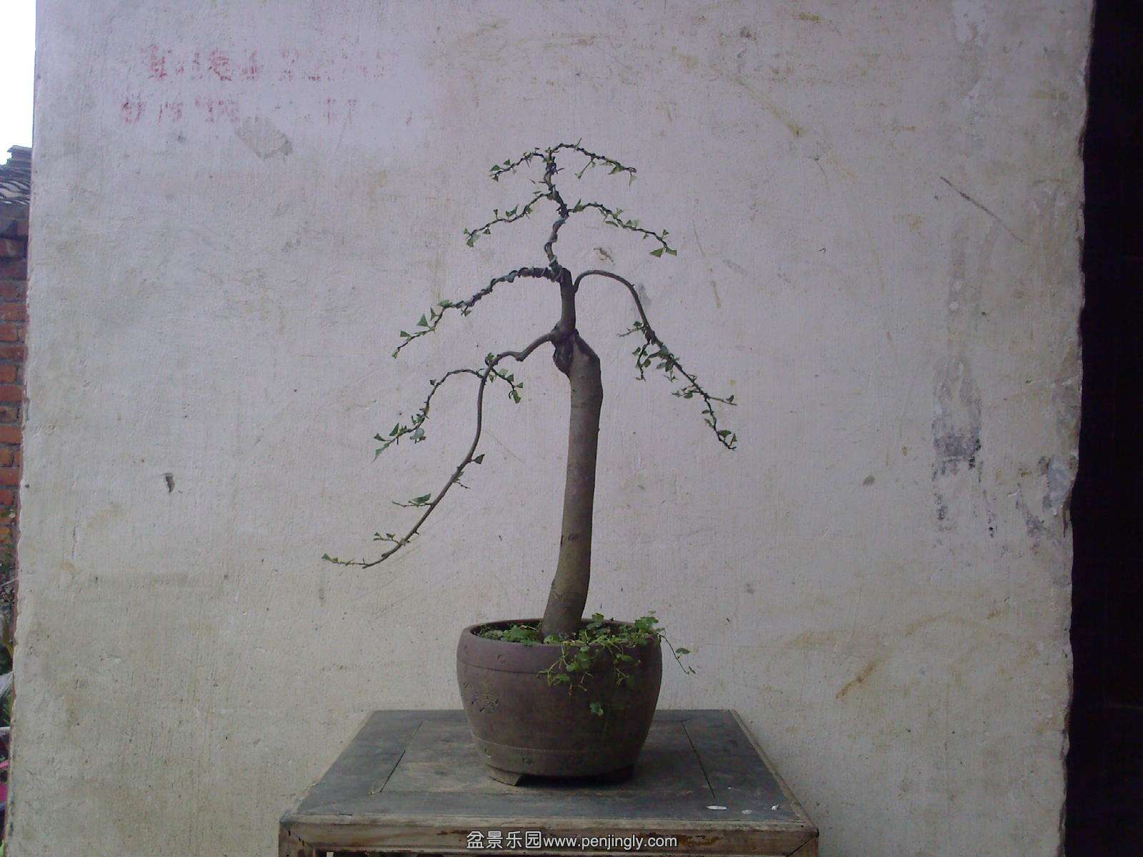 20150512101331.jpg