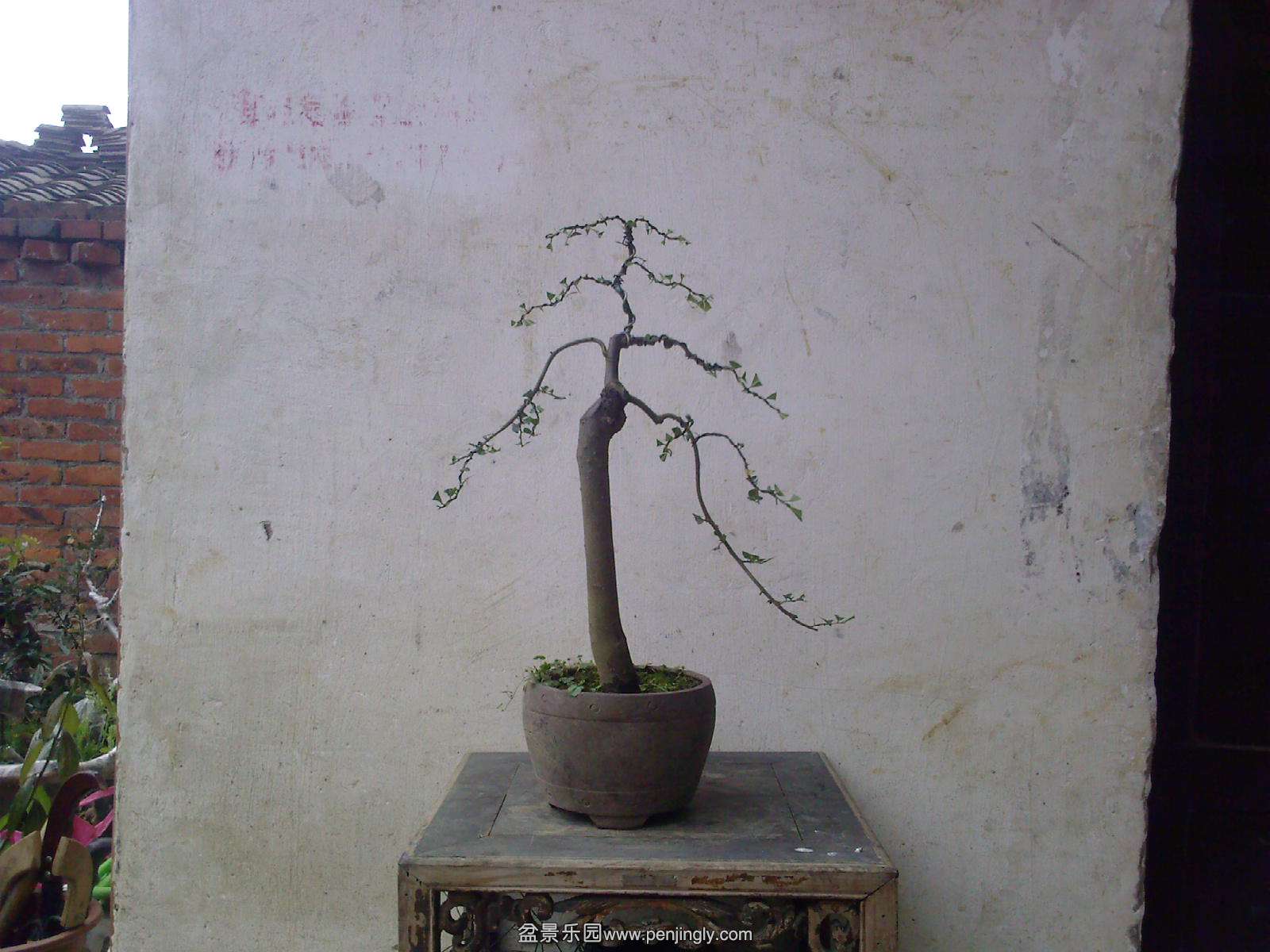 20150512101413.jpg
