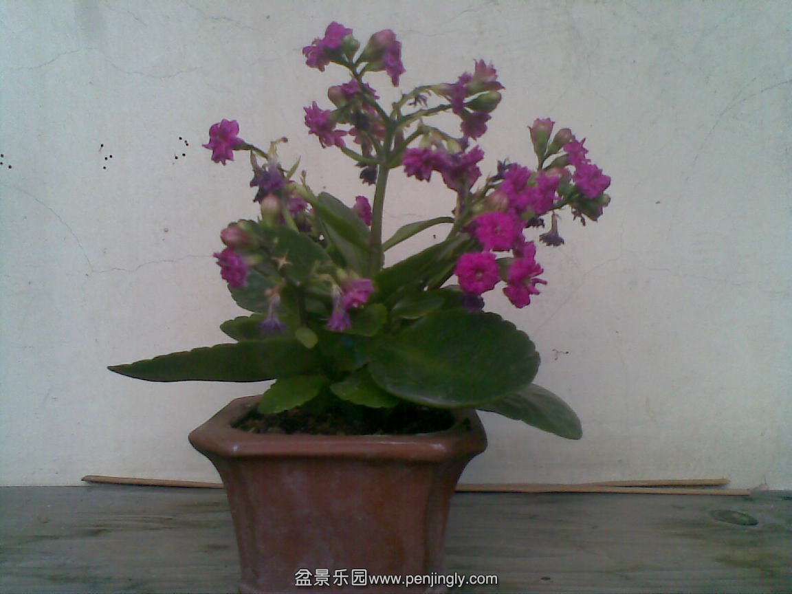20150503(003).jpg