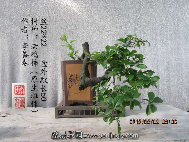 IMG_6259_.jpg