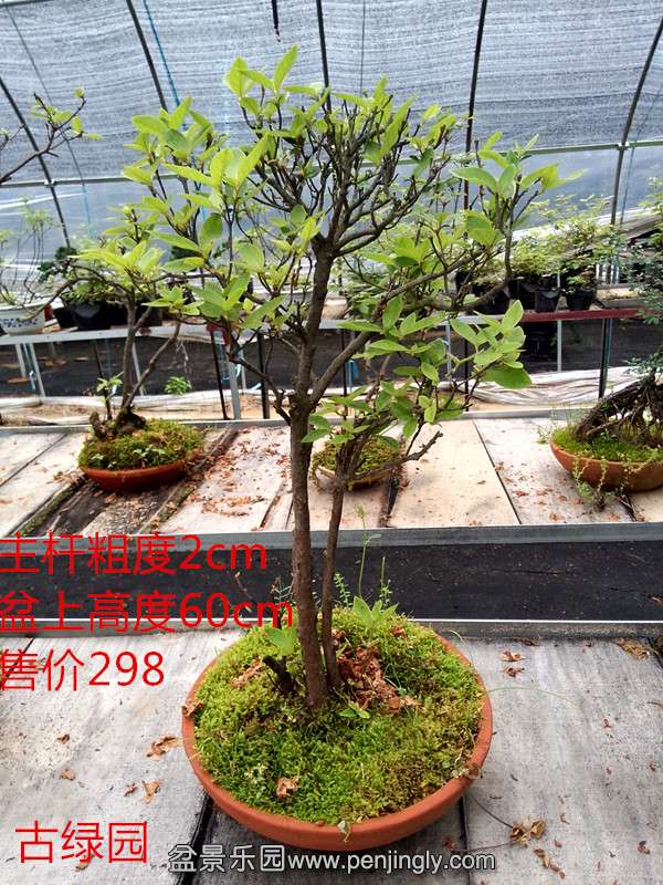 P50515-091023.jpg