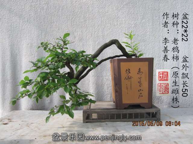 IMG_6257_副本.jpg