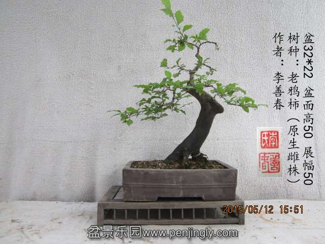 IMG_6279_副本.jpg