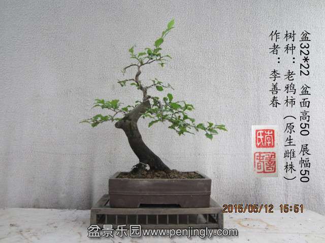 IMG_6280_副本.jpg