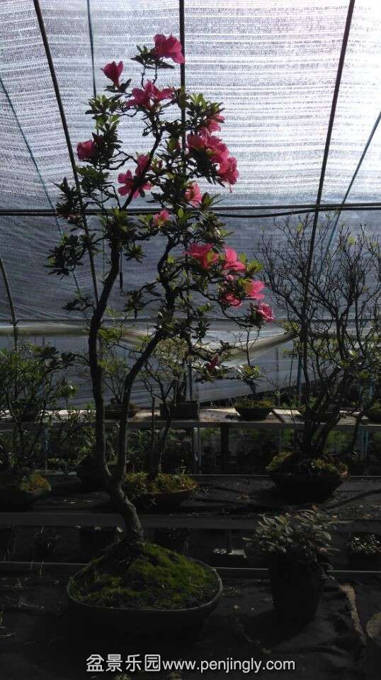 QQͼƬ20150517084702.jpg