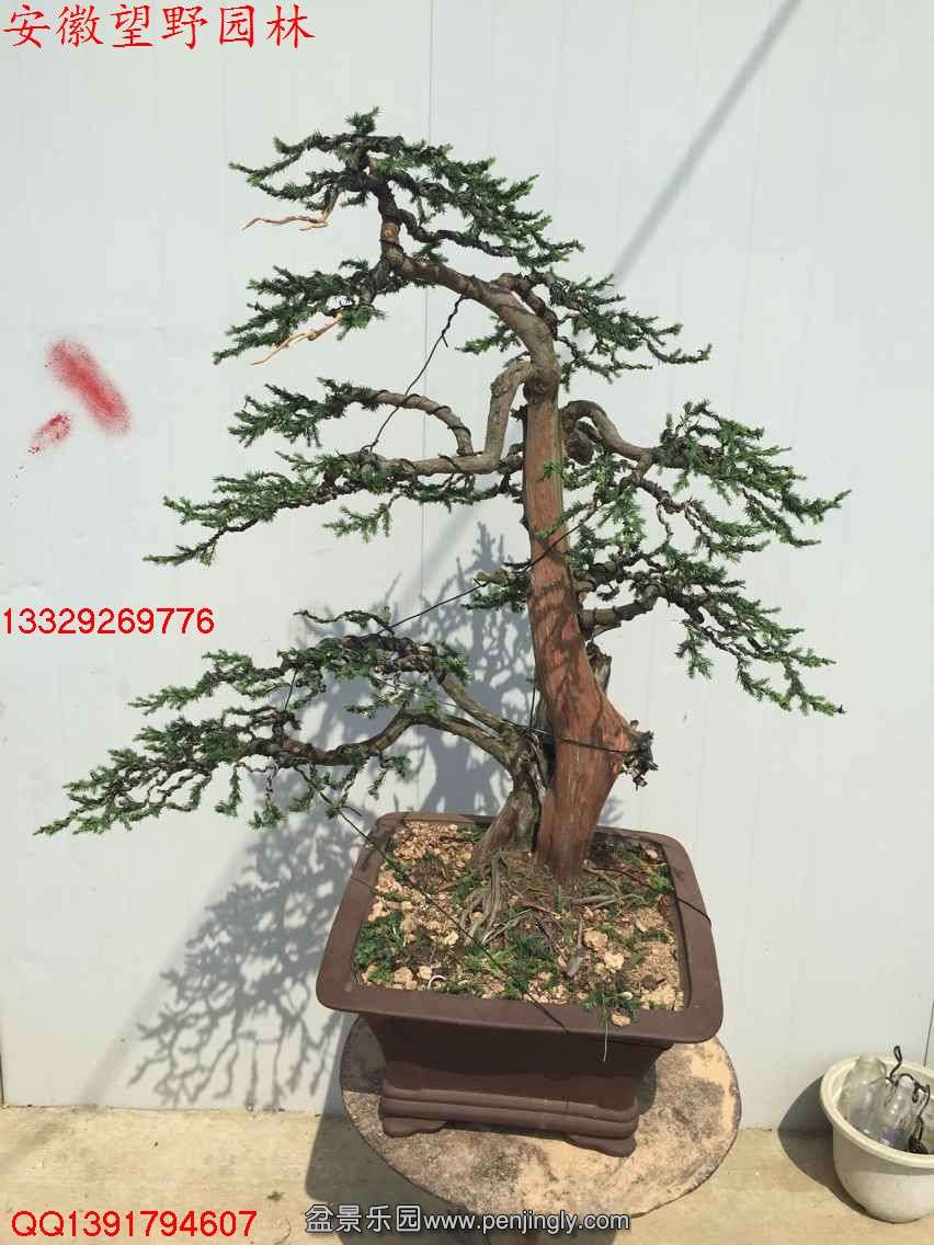 24083EC9AEAFA82C2AC5F6C50B52F05F.jpg