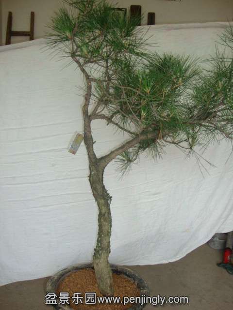 DSC03399_.jpg