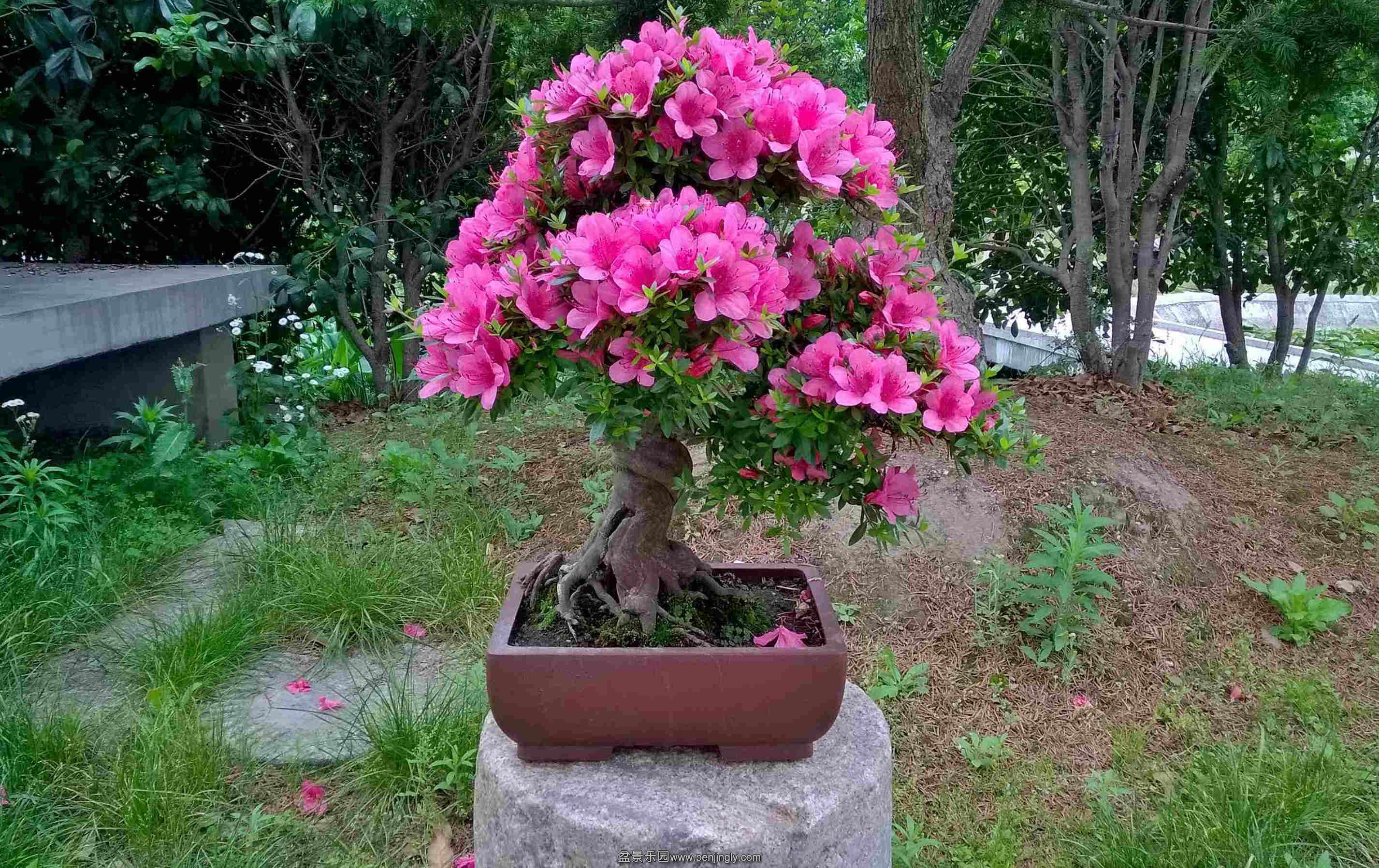 WP_20150523_14_23_03_Pro.jpg