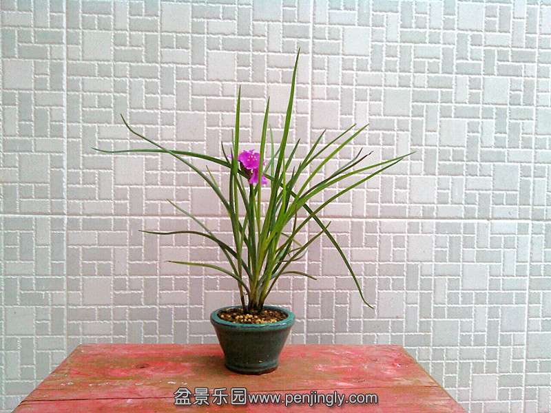 IMG_20150527_144439_副本.jpg