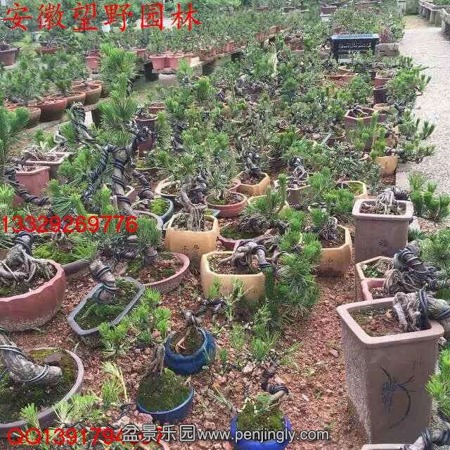 BFA6E66AE5740910149578748A1DD341.jpg