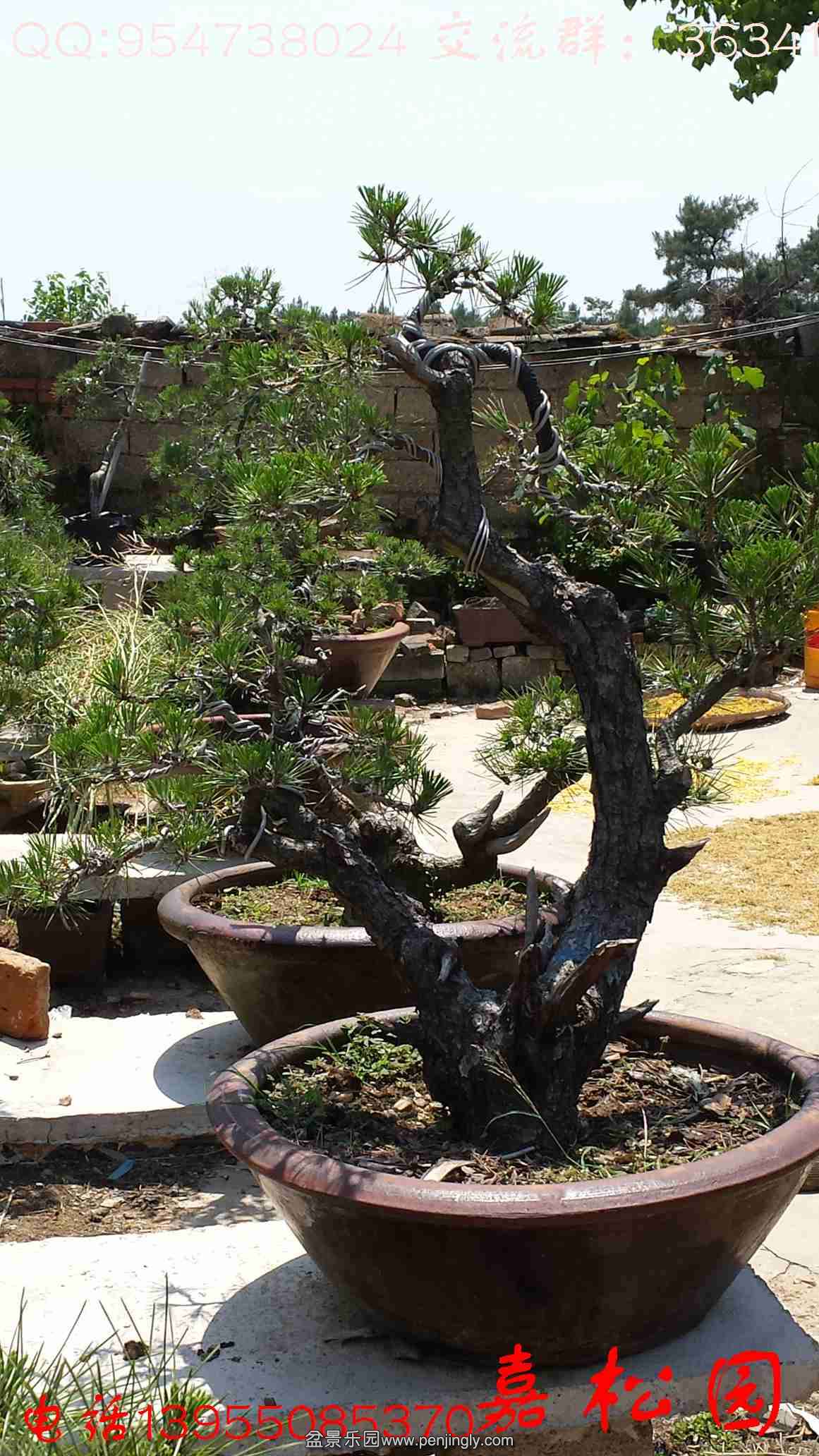 20150521_130326.jpg