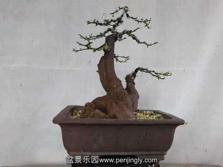 QQͼƬ20150528200100.jpg